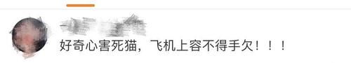 手欠|飞机刚落地,这名大学生就被拘!全因“手欠”...