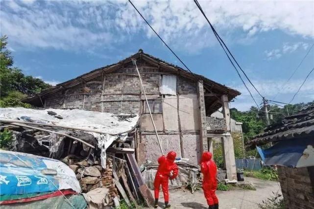  用杀虫剂|吓人！黄岩多位市民家中发现马蜂窝，大如脸盆