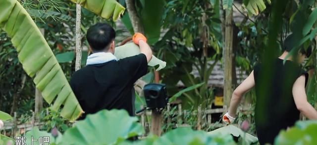 关系户|亮点不断!《向往的生活》迎来最强关系户,盼了三期,何炅终圆梦