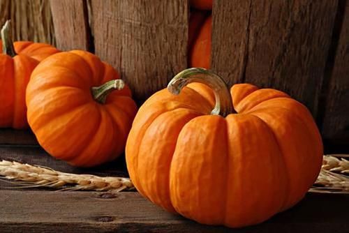  南瓜|立秋吃南瓜，老农教你专门挑“老”南瓜，又甜又糯，怎么做都好吃