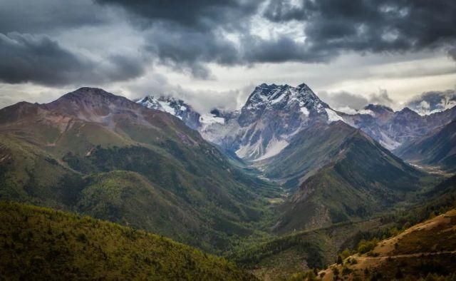 生长|云之南，一个生生不息、万物生长的地方