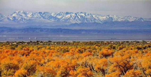 时期|隋朝时期的西域