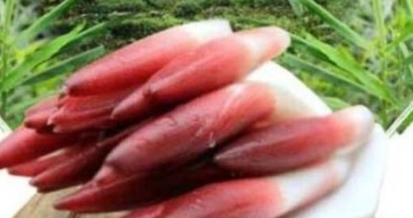 不妨|?女性不妨多吃一物,调经养宫,肌肤透亮,子宫健康病不扰!