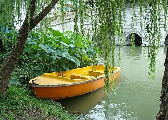  男尸|某海域漂浮着一具男尸，兜里装着不少现金