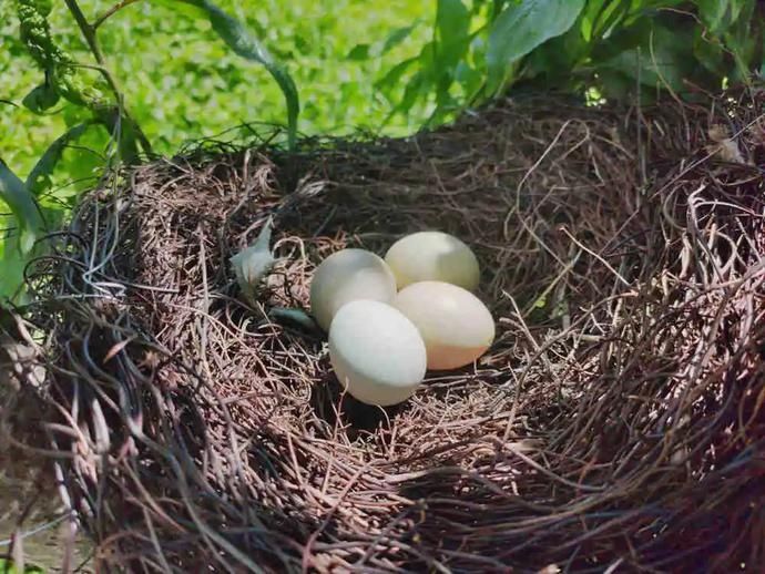  农场|8月来临！一起去天空之上的农场种菜野炊、烧烤露营，找寻那份简单的快乐~