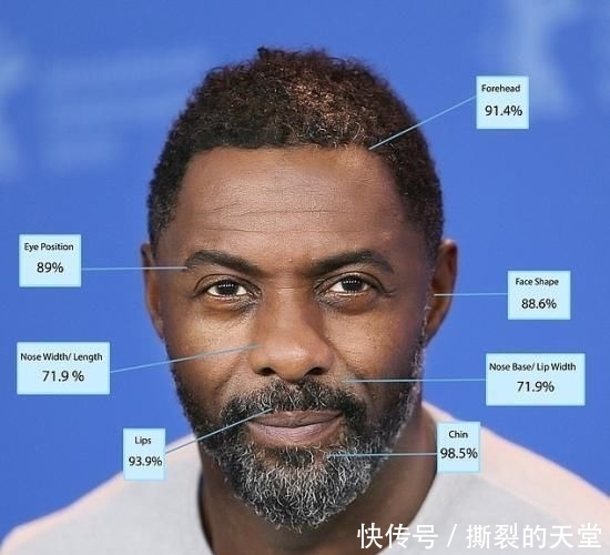 医生|整形医生科学认证地表最帅男星排行TOP10