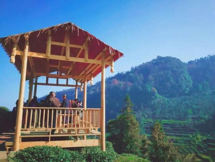  张家沟|阅读雨城丨寻茶张家沟