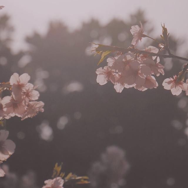  逃避|你逃避恋爱的理由，是患得患失吗？