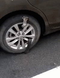  下嘴|搞笑GIF：这只是一个面具，哥们，你就放心下嘴吧！