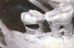  执着|啃最硬的面包打最硬的仗，欧洲人对硬面包的执着从何而来？