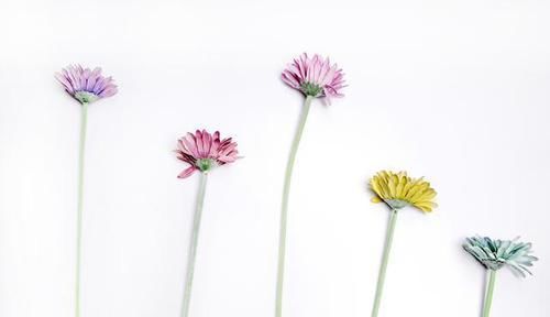 安静|安静也是一种心态（值得一读）