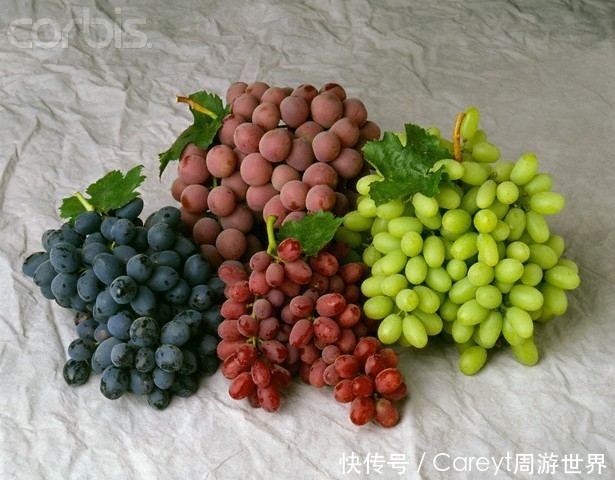 俄罗斯|俄罗斯葡萄酒,伏特加阴影中的新宠儿