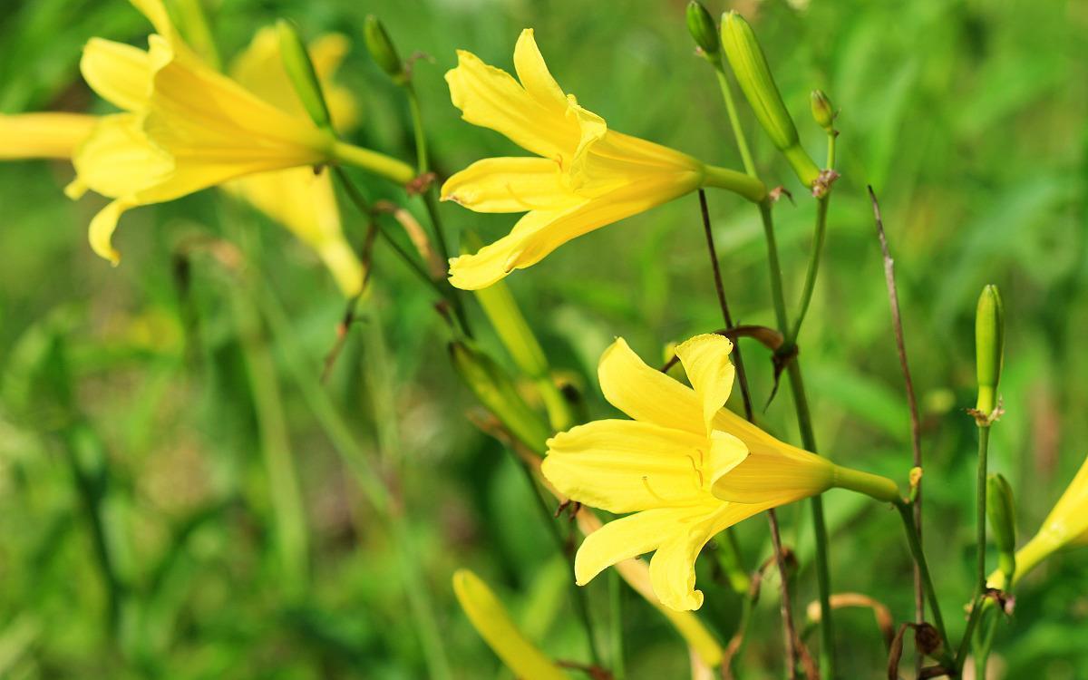 语录|情感语录:人生无常,且行且珍惜