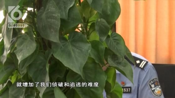  逃窜|“强奸完我没杀她，就捂住嘴”涉嫌强奸杀人“恶魔”逃窜22年后终于落网