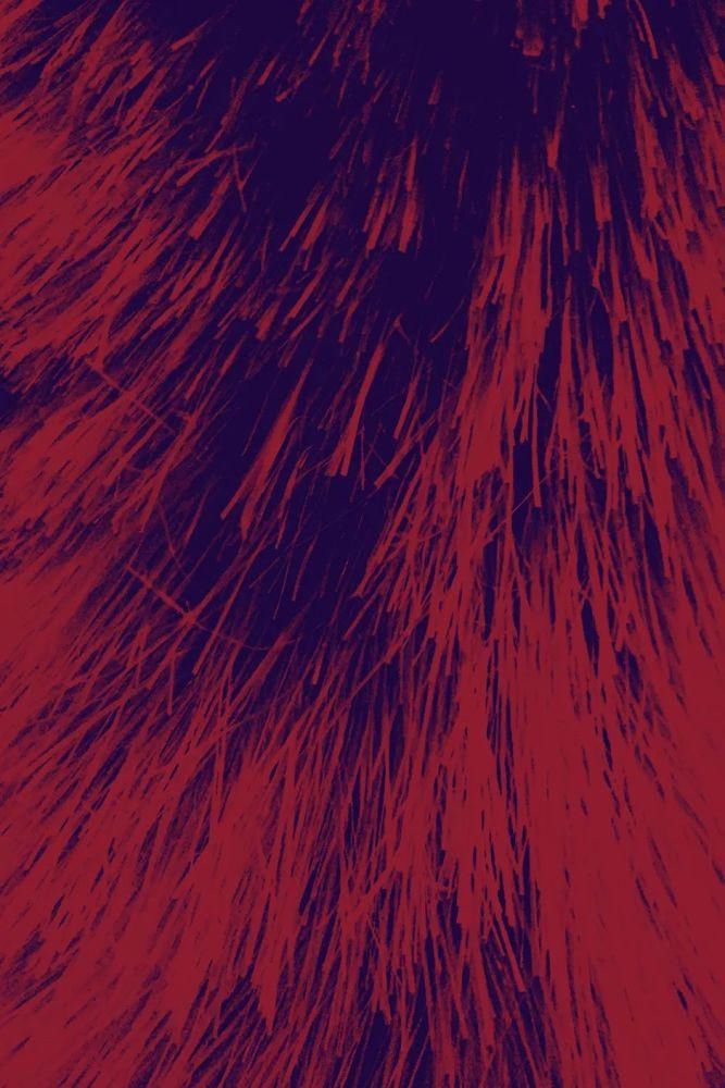  赛级|赛级摄影作品讲述的也不过是不同的生活罢了