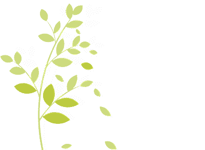  南平|南平 | 这五个25°C的古村落，又美又凉爽~