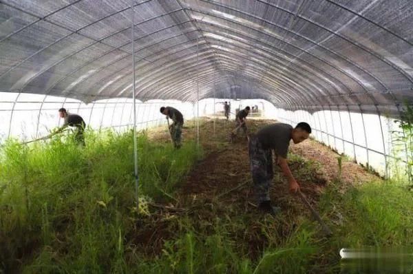 全体|江西湖口：“全体注意：把泥跺干净了再进屋！”