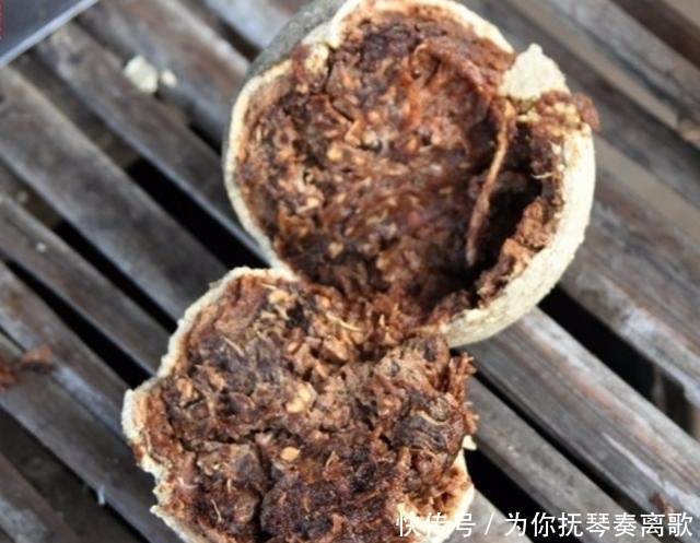 觉着|这些长相奇葩的水果,吃着都觉着恶心!