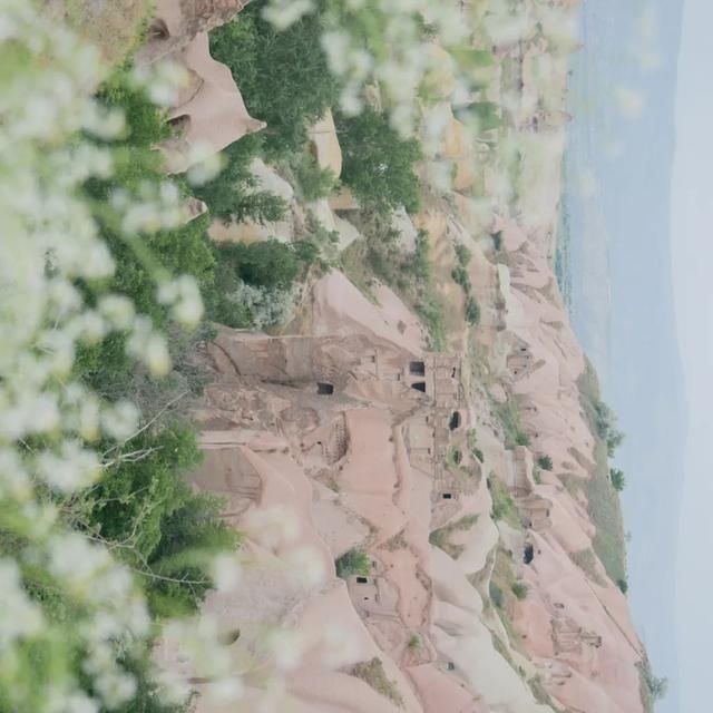  shui|陈燕：光不度，shui水成文