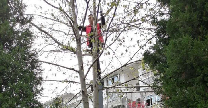 群众偷拍|睡在长椅上的社区副书记！
