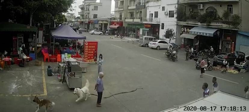  律师事务所|八旬老人被狗绳绊倒身亡谁该担责？律师这么说