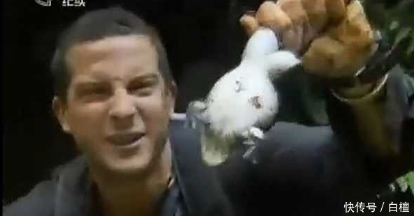 求生|食物链顶端的男人, 《荒野求生》为啥没了? 因为“贝爷”不行被解雇了