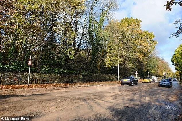  中产|英国孕妇怀胎9月，被掉落树枝砸中产下死胎，市政府被罚133万