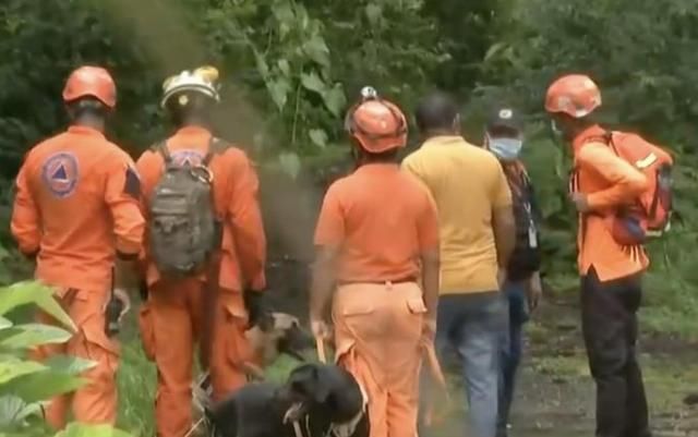  警方|树林中发现3男4女7具尸体，警方调查发现他们全都死于枪击