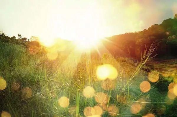 乔妈|随笔 | 一米阳光