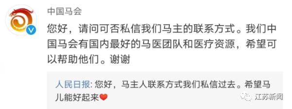  马冲进|3男子骑马冲进海里救起12岁男孩！半个月后，噩耗传来…