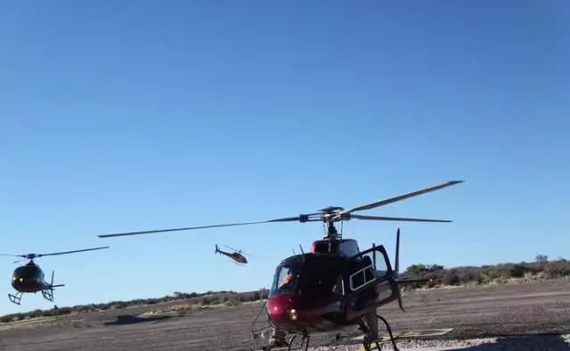  交流|本科交流交换助力背景提升，加州大学洛杉矶分校本科交换项目体验