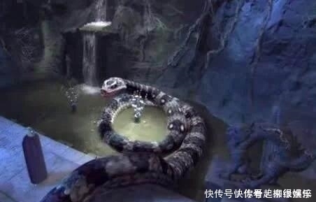  孙悟空|西游记中最自在的妖怪,害人无数,没有背景,但孙悟空却不敢杀他