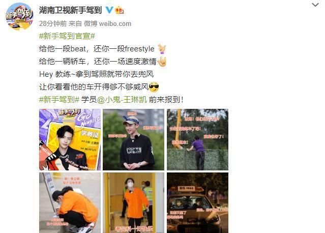  新手|《新手驾到》嘉宾阵容官宣！21岁的小鬼王琳凯拿驾照势在必得