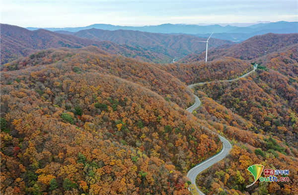  五彩斑斓|韩国江原道盘山公路斗折蛇行 两旁秋叶五彩斑斓美如画