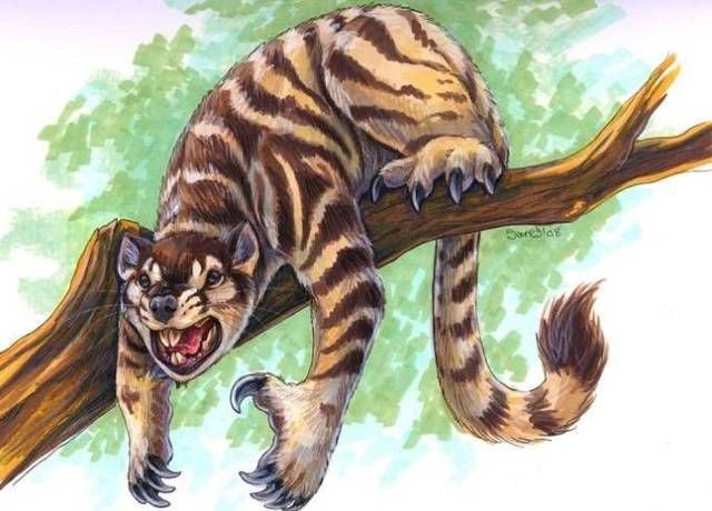 依然|5种咬合力高的远古动物,第3种依然存活,多被饲养