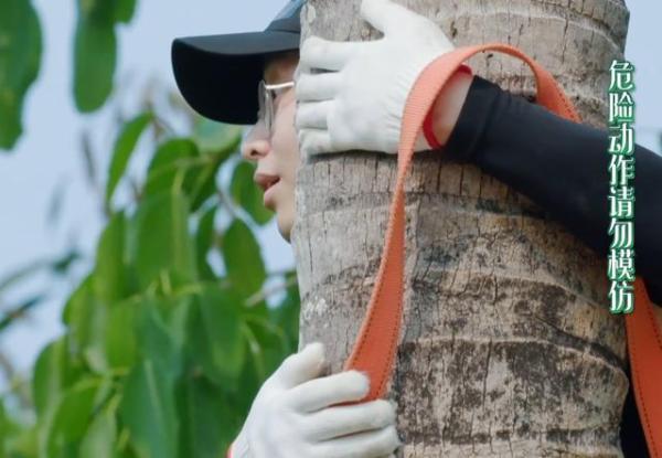  生活|《向往的生活》彭彭上树摘椰子，沙溢穿傣服，郭麒麟有那味了