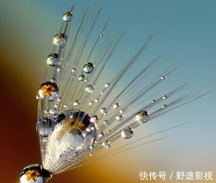 越来越好|8月财运一片红火,事业有成,生活大有盼的头四生肖