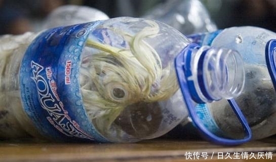 矿泉水瓶|发现一个古怪的包裹,看到矿泉水瓶子里的眼睛,结果让人气愤