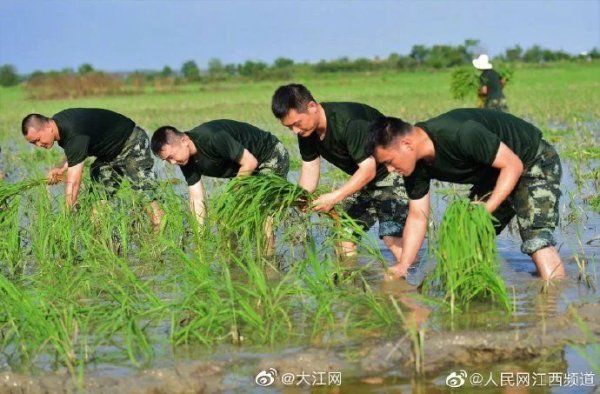 支队|武警江西总队宜春支队爱民助民暖民心