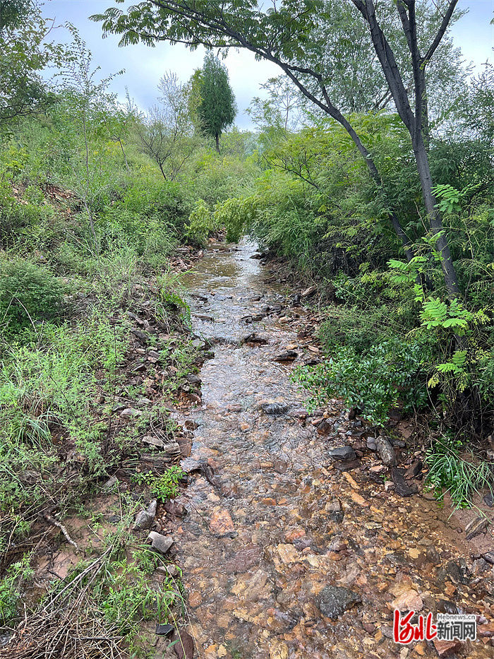 层层拦蓄“驯服”强降雨！探访邢台市信都区彩虹山治水减灾之道