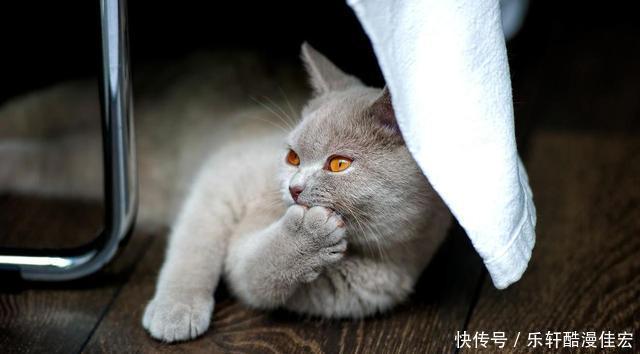 前任|九月份也是爱情月,这3个星座对旧爱念念不忘,有信心让前任回头