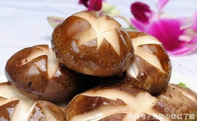 南方人|南方人说: 北方的食物, 是世界上最大的骗子! ?