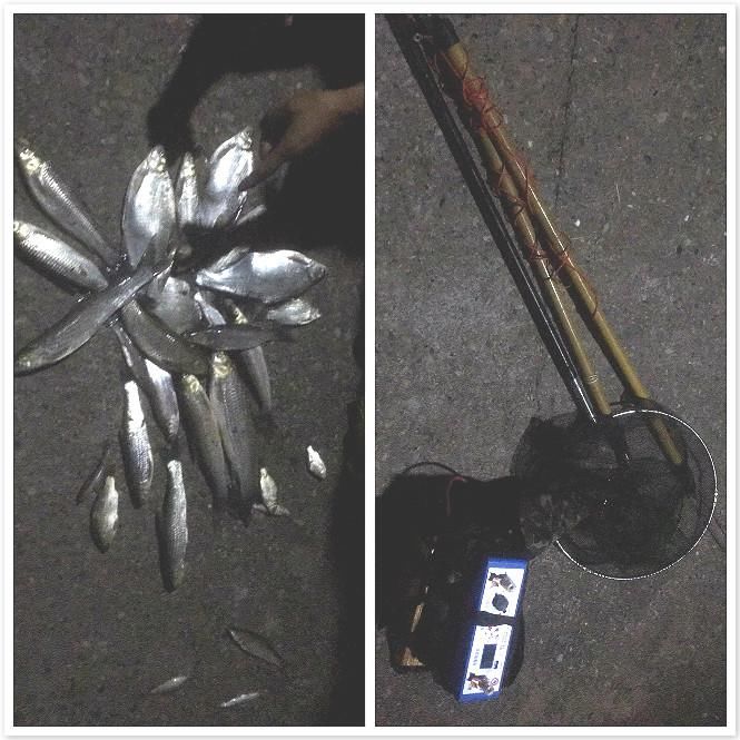  捕捞|非法捕捞，桃源警方再拘2人！