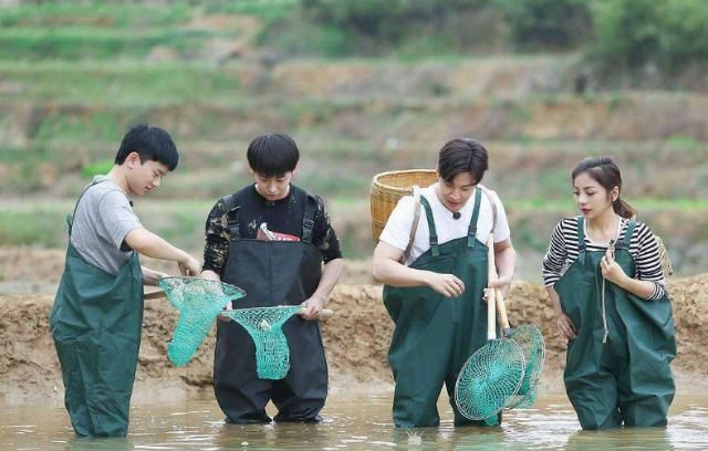  满意|这是下半年的综艺，广告主您满意吗？