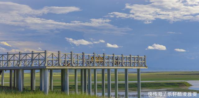 认错|下月,酒后真情,苍白无力,遗憾过往,主动认错,终和好如初