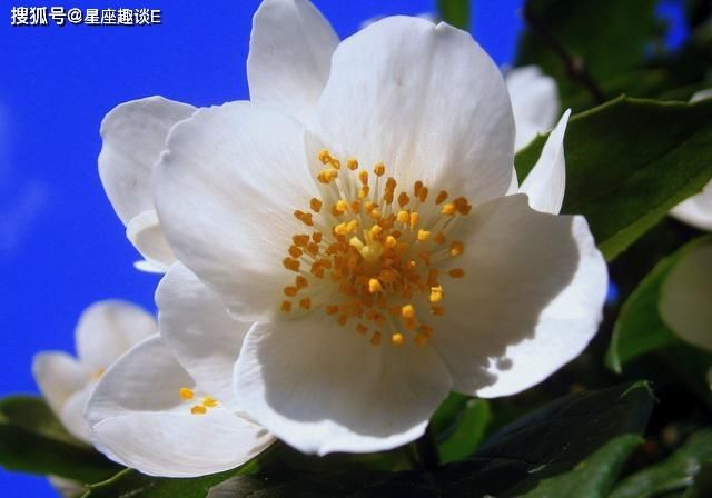  心想事成|在8月份，注重细节，努力攀登，心想事成的三大星座