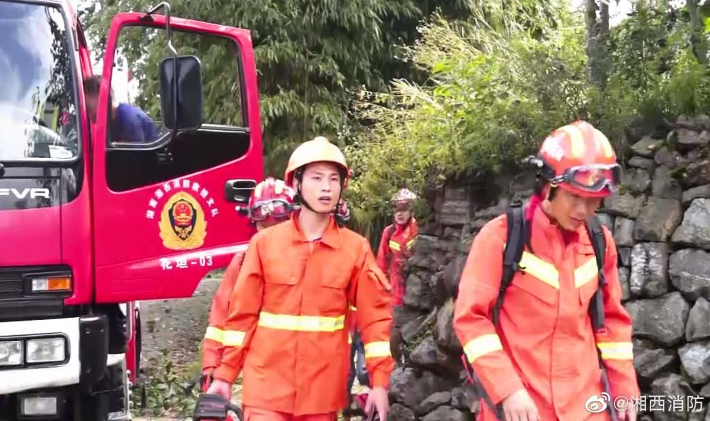  消防|四棵树倒下砸中房屋，7旬老人担忧房屋被压垮，花垣消防锯树排险