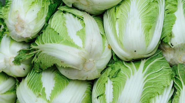  高产|夏季无公害大白菜高产栽培管理技术，及病虫害防治措施，增加产量