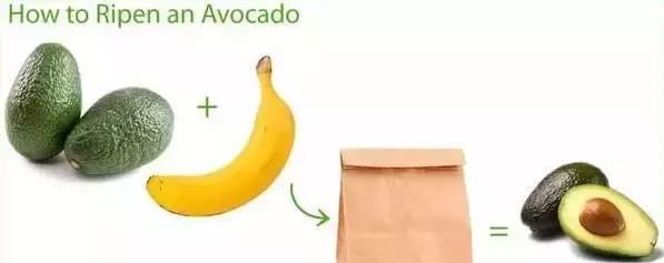  适量|吃好牛油果, 健康环抱我~