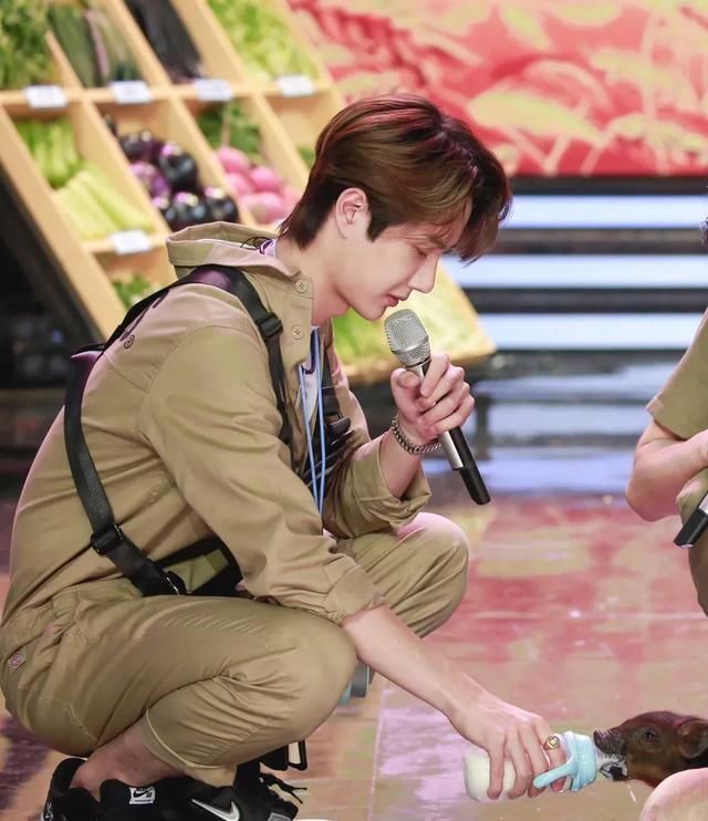  收视率|为什么王一博火了之后，《天天向上》的收视率还是非常的低